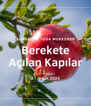 Berekete Açılan Kapılar